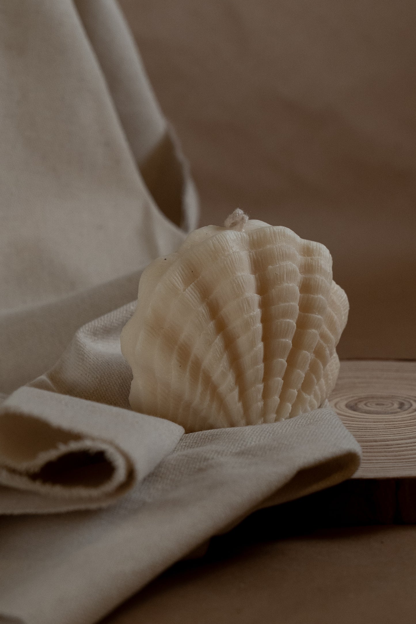 Conchiglia