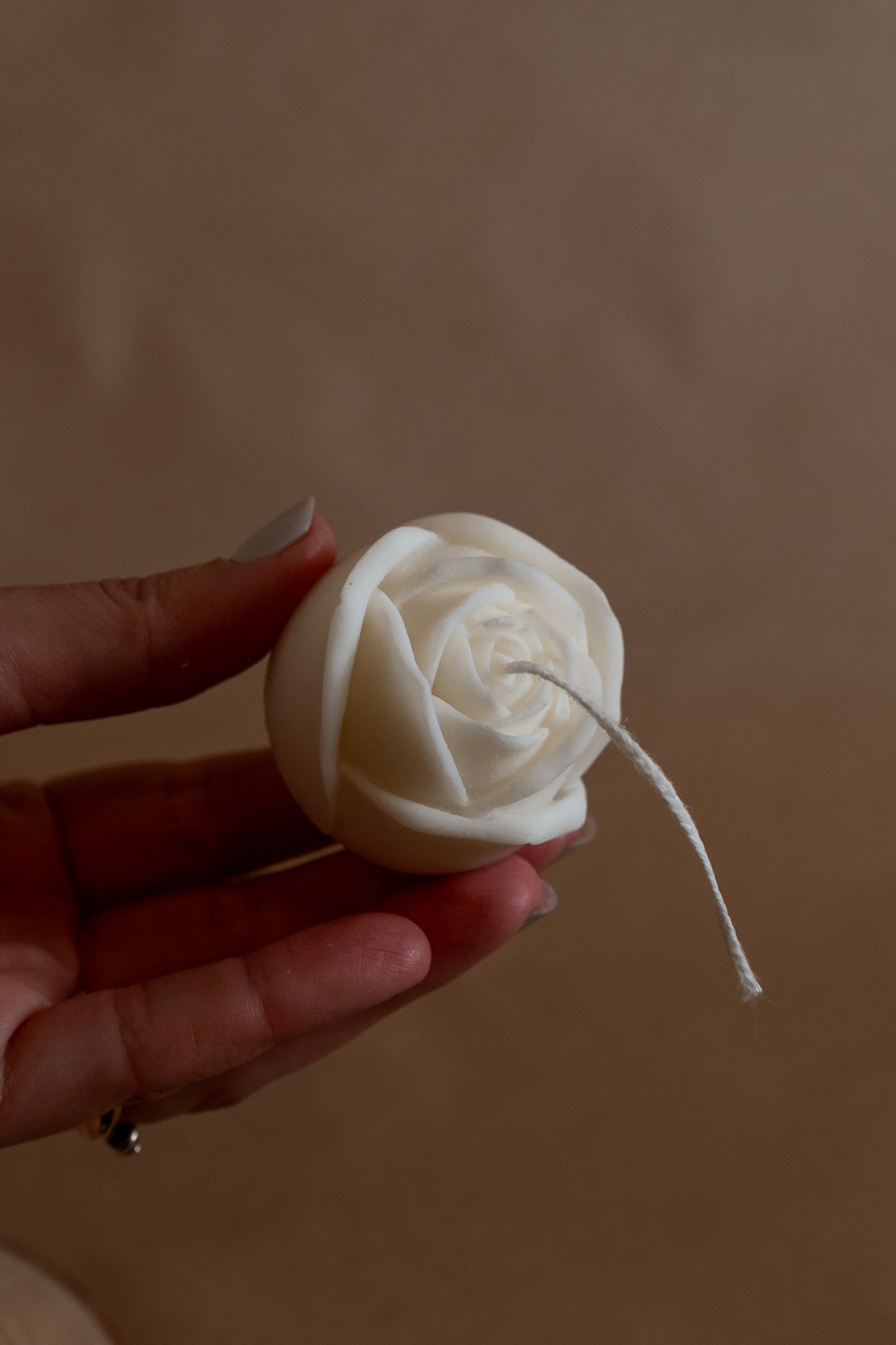 Rosa